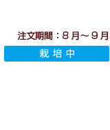 商品注文期間：秋映