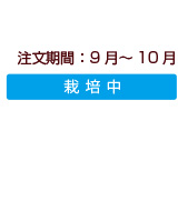 商品注文期間：こうとく