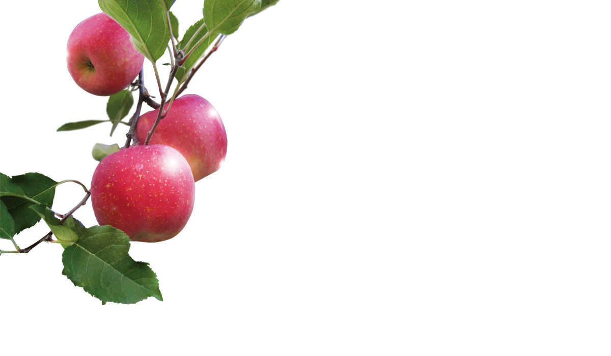 Tsukano畑のりんご